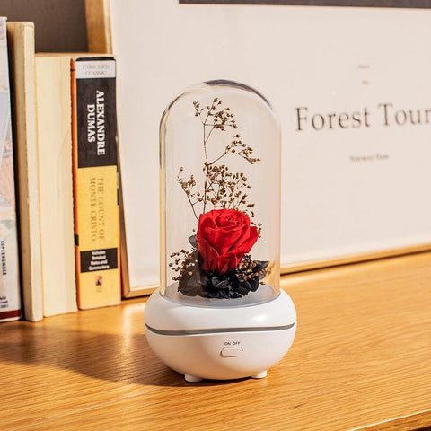 Image of Eternal Flower USB Essential Oil Aromatherapy Perfumed lamp.