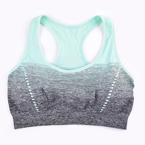 Image of Sports Bra High Stretch Breathable Top.