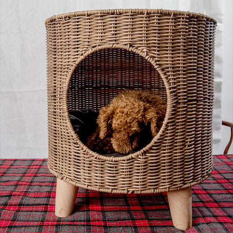 Image of Cane Woven Cat Kennel