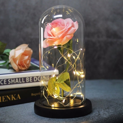 Image of Beauty And Beast Rose In Flask Led Rose Flower Light.