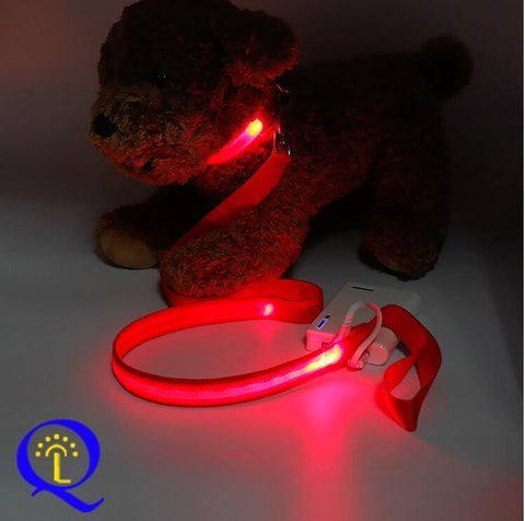 Image of Shining Hand Holding Rope LED For Pet.