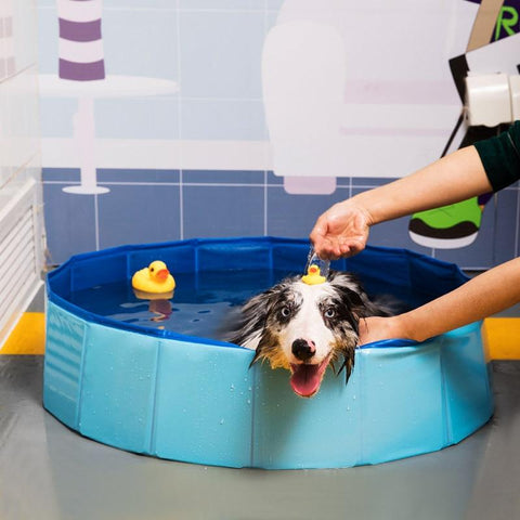 Image of Pet Bath Summer Outdoor Portable Swimming Pools Indoor.