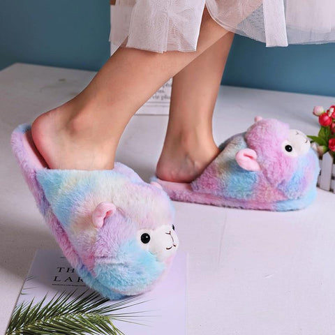 Image of Cute Cartoon Furry Slippers.