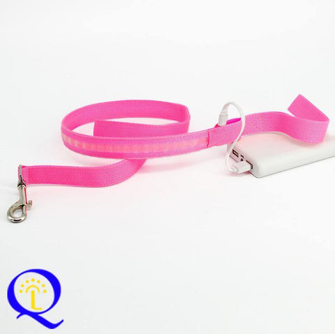 Image of Shining Hand Holding Rope LED For Pet.