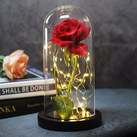 Image of Beauty And Beast Rose In Flask Led Rose Flower Light.
