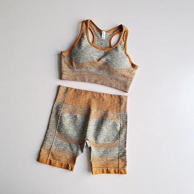 Image of Long Sleeve Ombre Legging set.