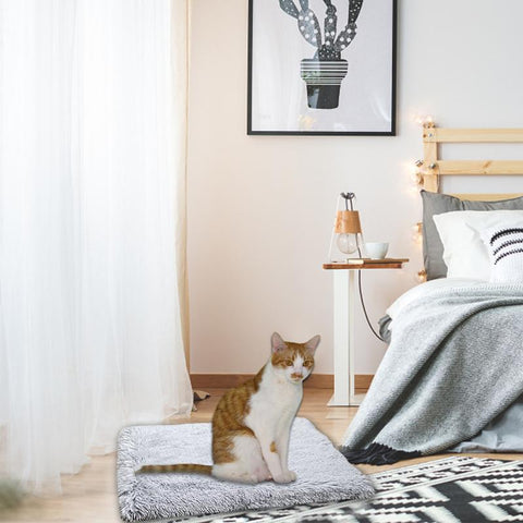 Image of Two-in-one Pet Mat Winter Warm.