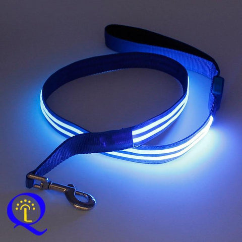 Image of Shining Hand Holding Rope LED For Pet.