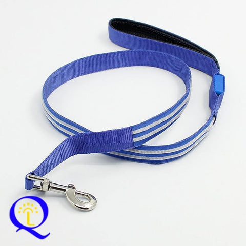 Image of Shining Hand Holding Rope LED For Pet.