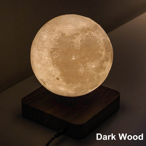 Image of 3D Print Moon Night Light
