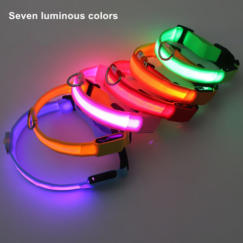 Image of Nylon LED Pet Dog Collars