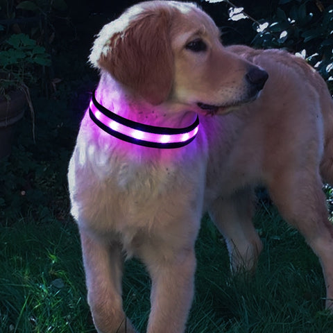 Image of Nylon LED Pet Dog Collars
