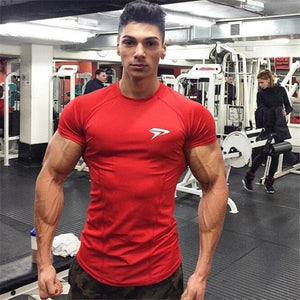 Men Fitness T shirt