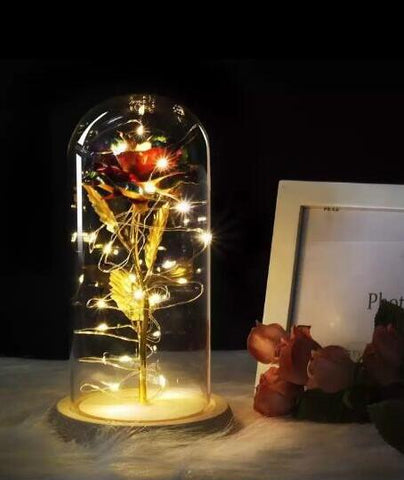 Image of Beauty And Beast Rose In Flask Led Rose Flower Light.