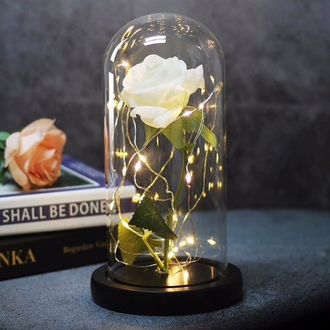 Image of Beauty And Beast Rose In Flask Led Rose Flower Light.