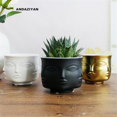 Image of Ceramic Plants Pot