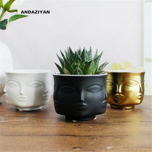 Ceramic Plants Pot