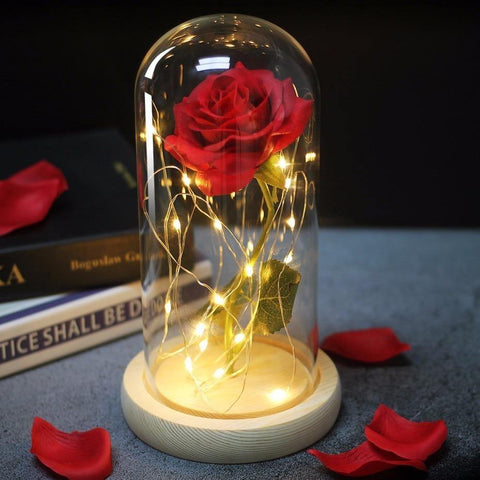 Image of Beauty And Beast Rose In Flask Led Rose Flower Light.