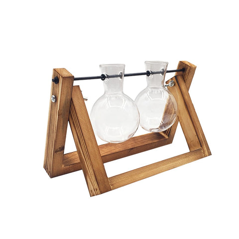 Image of Hydroponic Plant Transparent Vase Wooden Frame