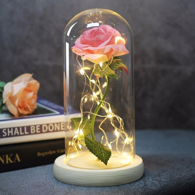Beauty And Beast Rose In Flask Led Rose Flower Light.