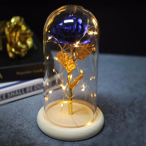 Beauty And Beast Rose In Flask Led Rose Flower Light.