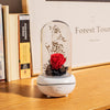Eternal Flower USB Essential Oil Aromatherapy lamp
