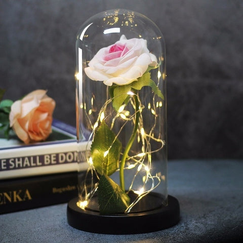 Image of Beauty And Beast Rose In Flask Led Rose Flower Light.