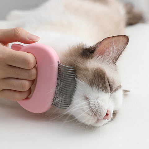 Image of Pet Massage Brush