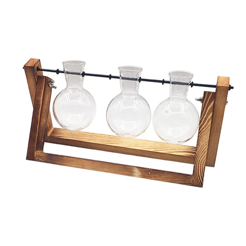 Image of Hydroponic Plant Transparent Vase Wooden Frame