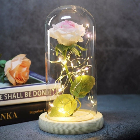 Image of Beauty And Beast Rose In Flask Led Rose Flower Light.