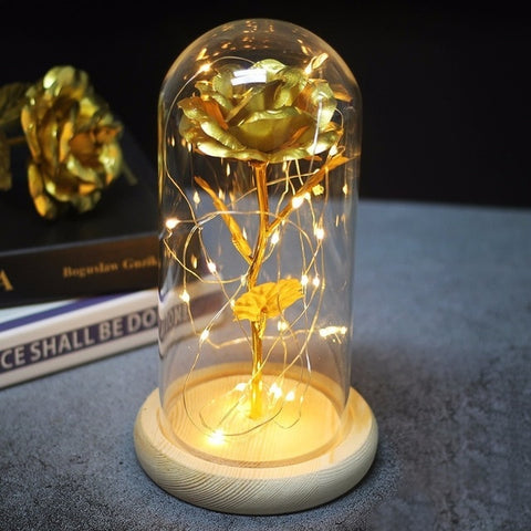 Image of Beauty And Beast Rose In Flask Led Rose Flower Light.