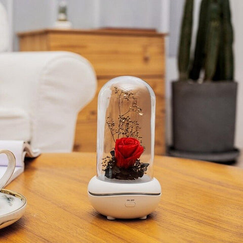 Image of Eternal Flower USB Essential Oil Aromatherapy lamp