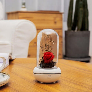 Eternal Flower USB Essential Oil Aromatherapy lamp