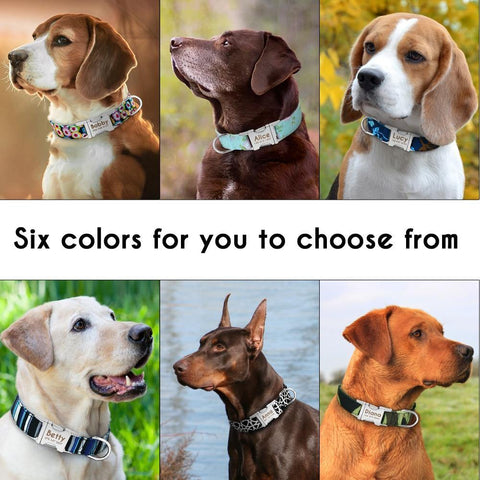 Image of Dog Collar Personalized Nylon Pet Dog Tag Collar Custom Nameplate.