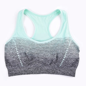 Sports Bra High Stretch Breathable Top.