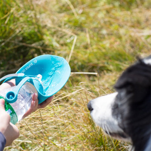 Image of Portable Dog Water Bottle