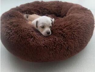 Image of Pet Dog Bed Comfortable Donut Cuddler.