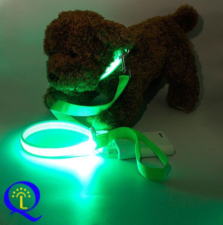 Shining Hand Holding Rope LED  For Pet.