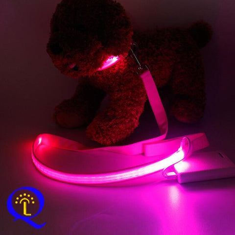 Image of Shining Hand Holding Rope LED  For Pet.