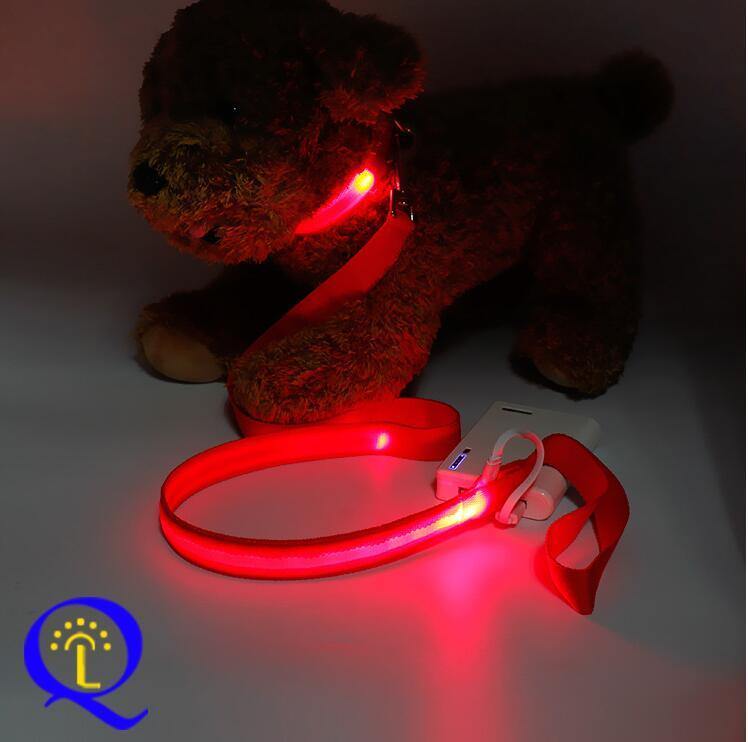 Shining Hand Holding Rope LED  For Pet.