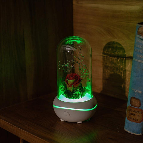 Image of Eternal Flower USB Essential Oil Aromatherapy Perfumed lamp.