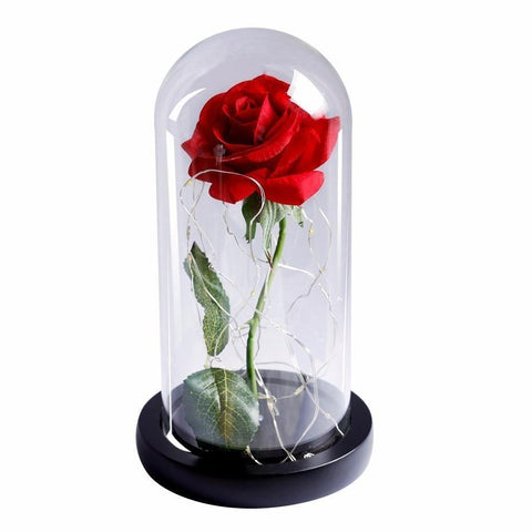 Image of Beauty And Beast Rose In Flask Led Rose Flower Light.