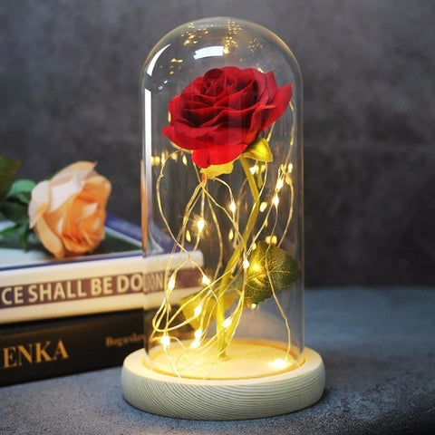 Image of Beauty And Beast Rose In Flask Led Rose Flower Light.