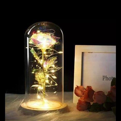 Beauty And Beast Rose In Flask Led Rose Flower Light.