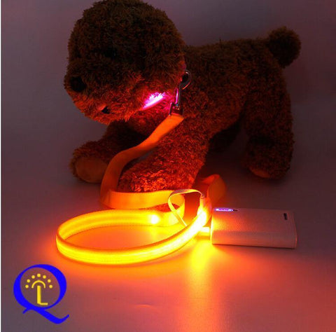 Image of Shining Hand Holding Rope LED  For Pet.