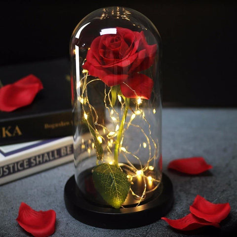 Image of Beauty And Beast Rose In Flask Led Rose Flower Light.