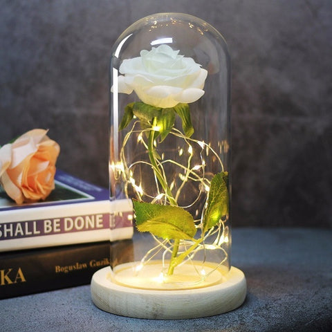 Image of Beauty And Beast Rose In Flask Led Rose Flower Light.