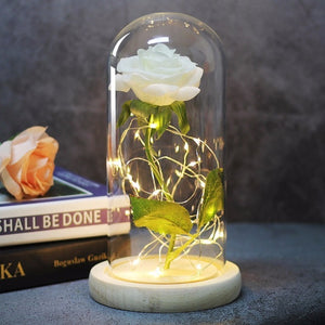 Beauty And Beast Rose In Flask Led Rose Flower Light.