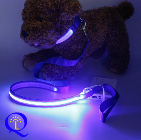 Image of Shining Hand Holding Rope LED  For Pet.