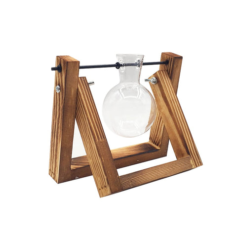 Image of Hydroponic Plant Transparent Vase Wooden Frame